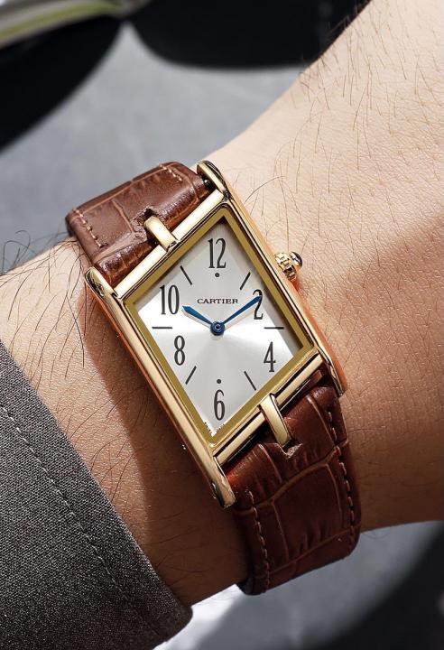 CartierTank WGTA0043 Brown Belt